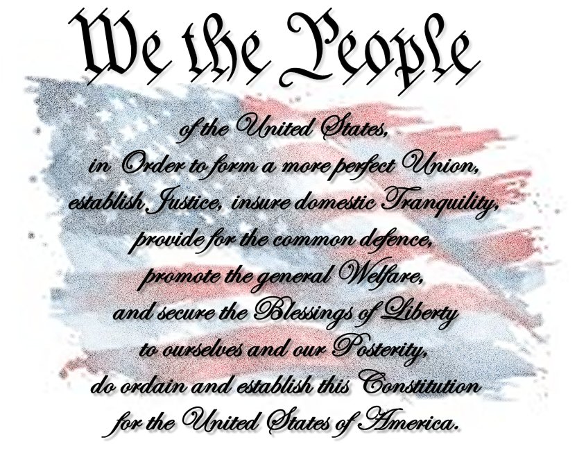 WE THE PEOPLE OF THE UNITED STATES